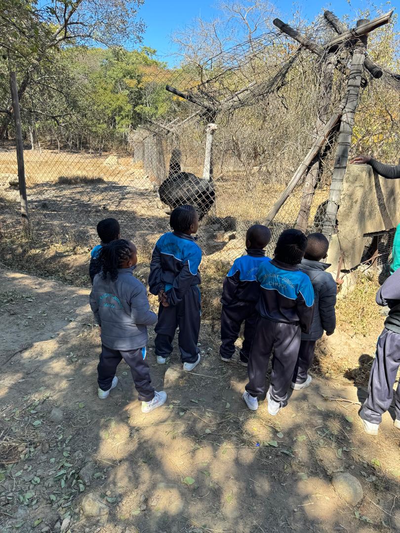 Harmony Junior School